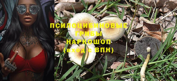 ешки Алексин