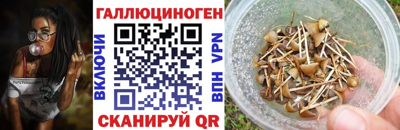 Галлюциногенные грибы Cubensis Красноуфимск