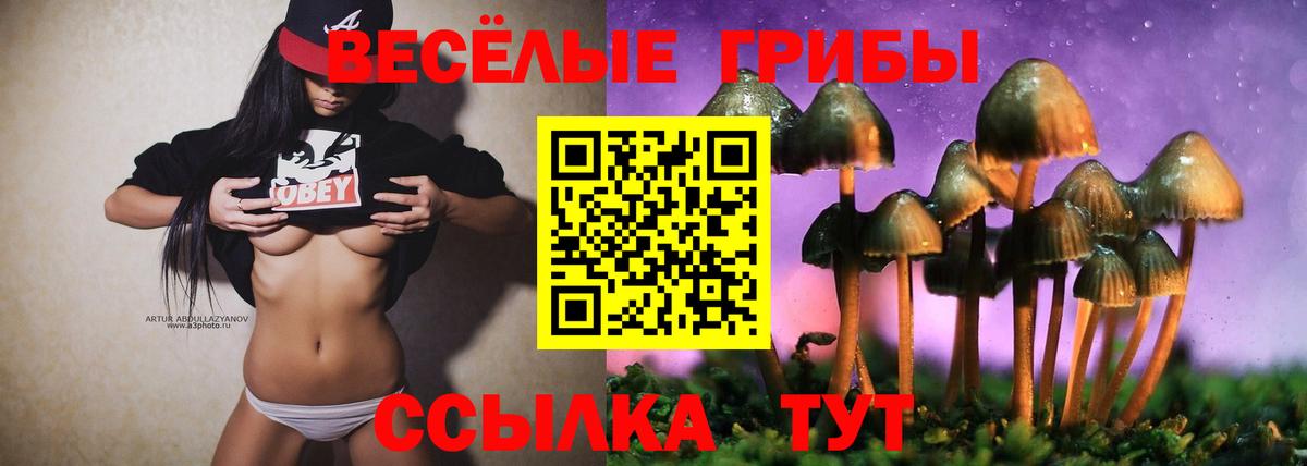 Красноуфимск  Галлюциногенные грибы GOLDEN TEACHER  Вход с VPN 